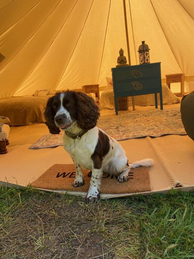 Swallows Oast Glamping Sedlescombe Luaran gambar