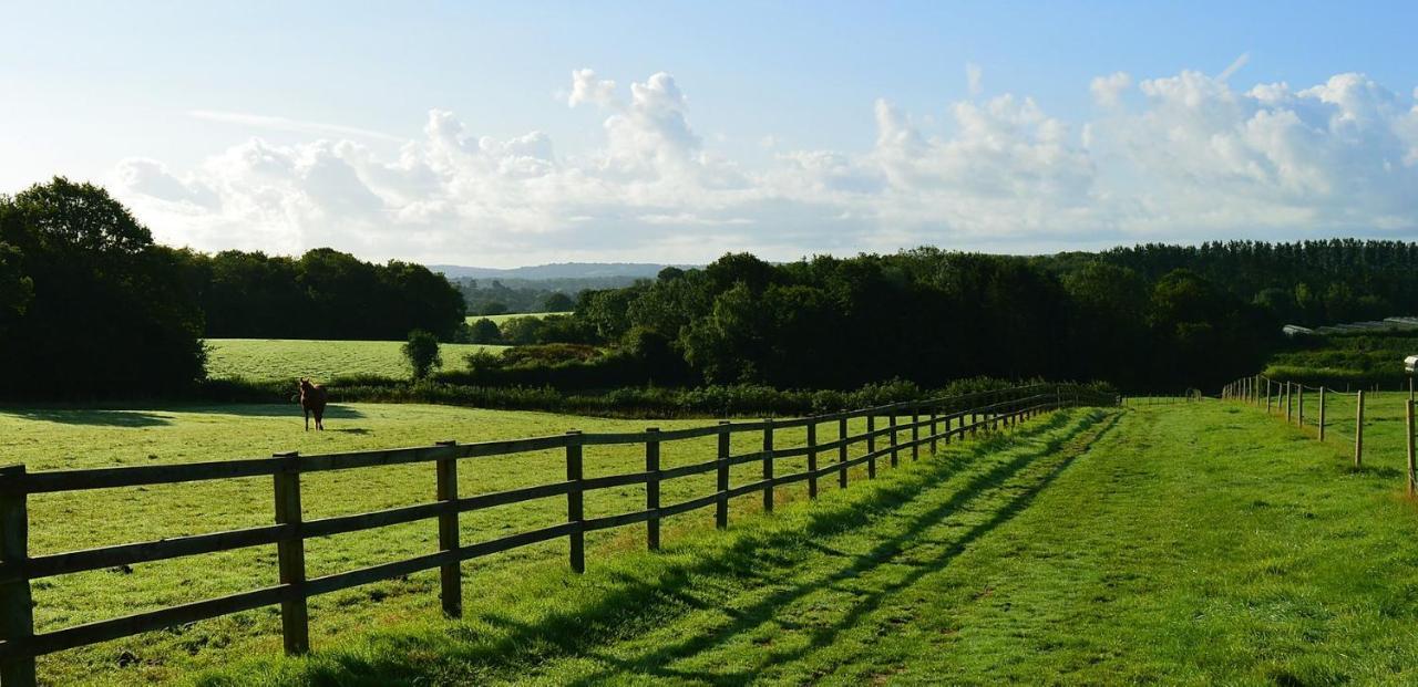 Swallows Oast Glamping Sedlescombe Luaran gambar
